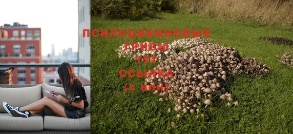 первитин Абдулино