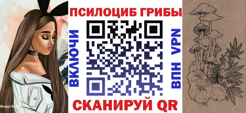 Галлюциногенные грибы Cubensis где купить наркотик Кяхта